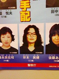 Michael Jackson Wanted?