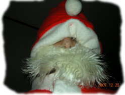 Santa took a photo of himself!